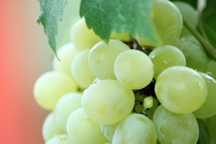 Grapes Juice